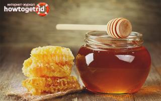 Мед - ползи и вреди за здравето на тялото