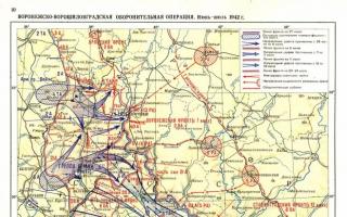 Hitler'in kaçırdığı şans: Blau Operasyonu